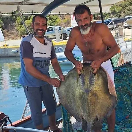 Poseidon Boat Trips * سفوروناتا