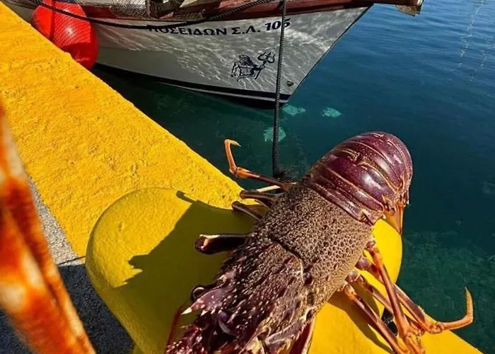 Poseidon Boat Trips Tekne