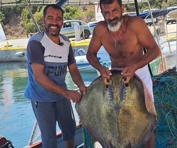 Poseidon Boat Trips * Svoronata