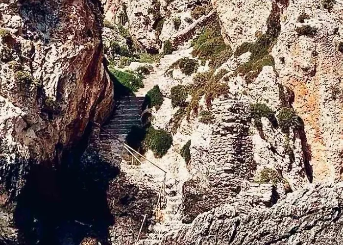 Tekne Poseidon Boat Trips *